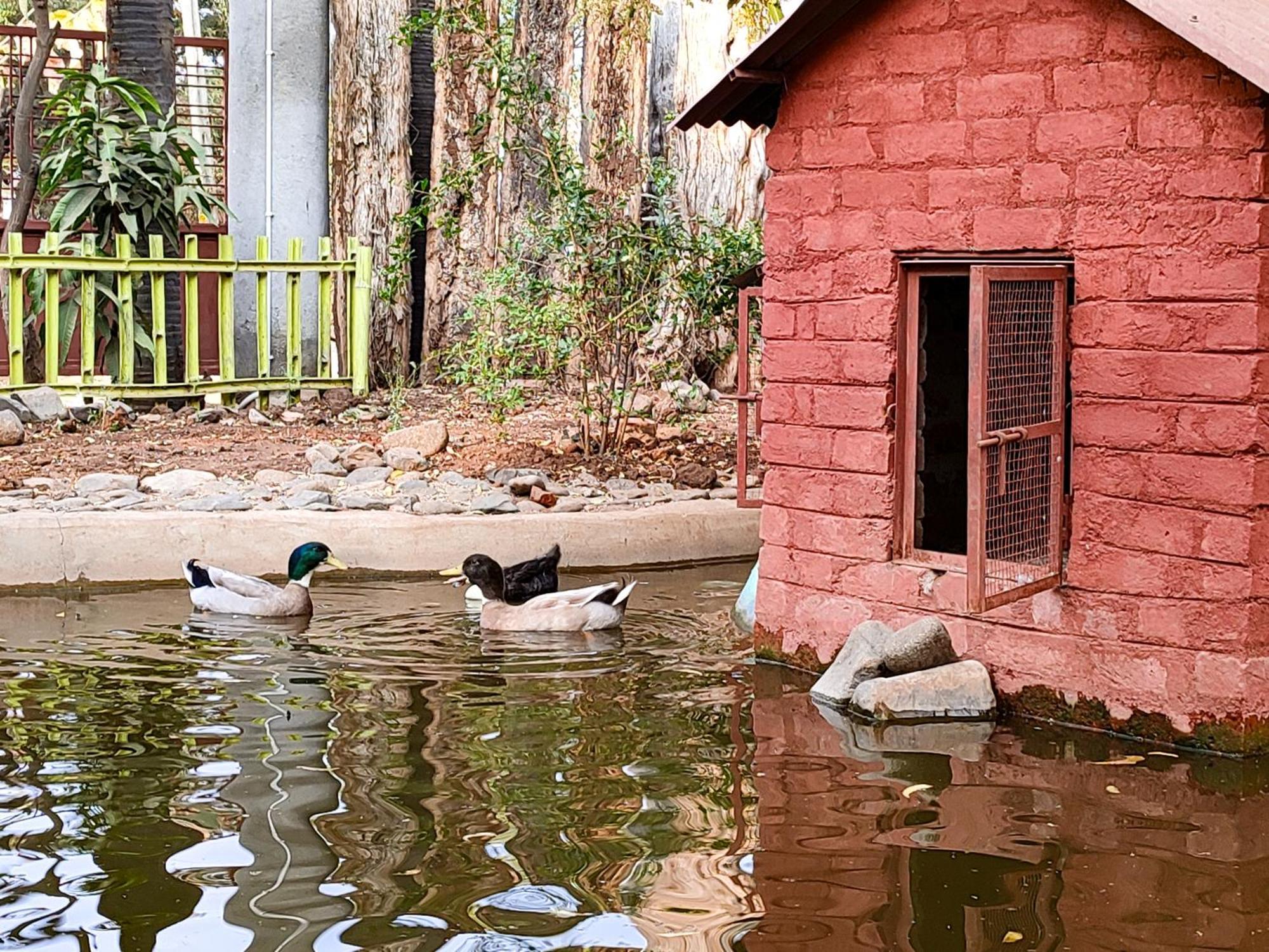 Van Vagdo Resort Rajpipla Esterno foto